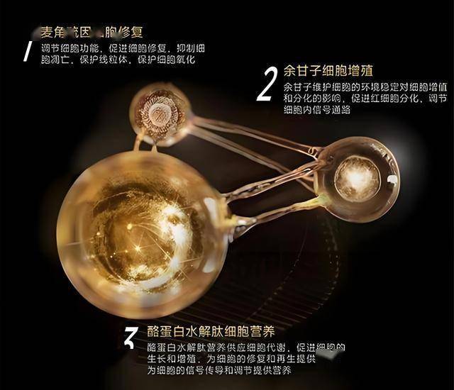 ic外汇平台靠谱吗程序化交易编程的秘密，95%的人却不知道的技巧